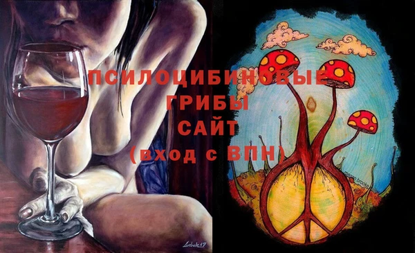 бошки Арсеньев