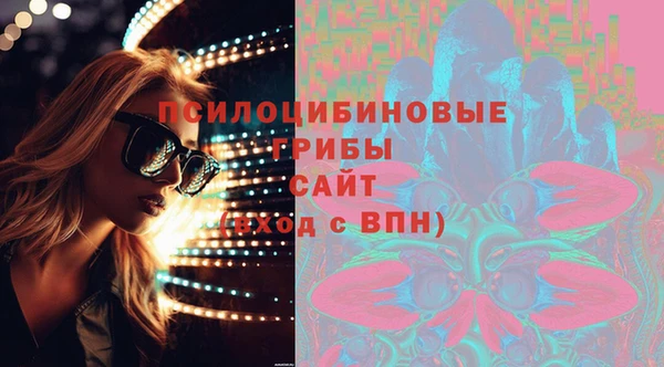 бошки Арсеньев