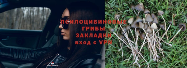 дурь Армянск