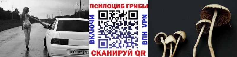 Галлюциногенные грибы Psilocybine cubensis  Починок 